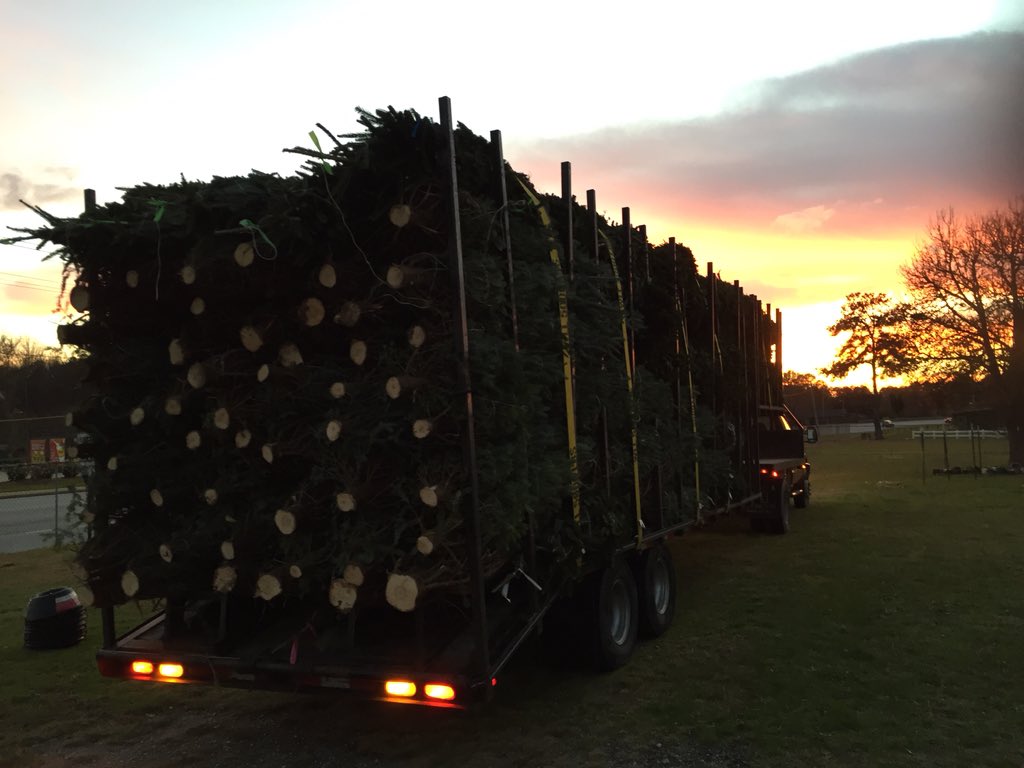 TreesClinton's tweet image. They're here!!!!