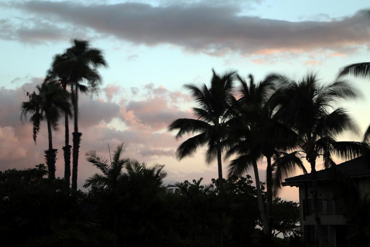 DIYNetwork's tweet photo. When families want to make paradise their home, they call Tyler & Deandra. NEW #BuildingHawaii 10|9c! https://t.co/U9LZjGJBle