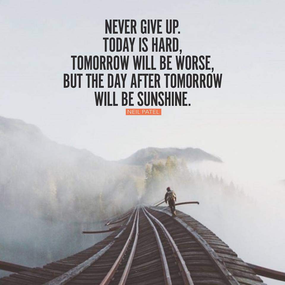 hostseo tweet picture