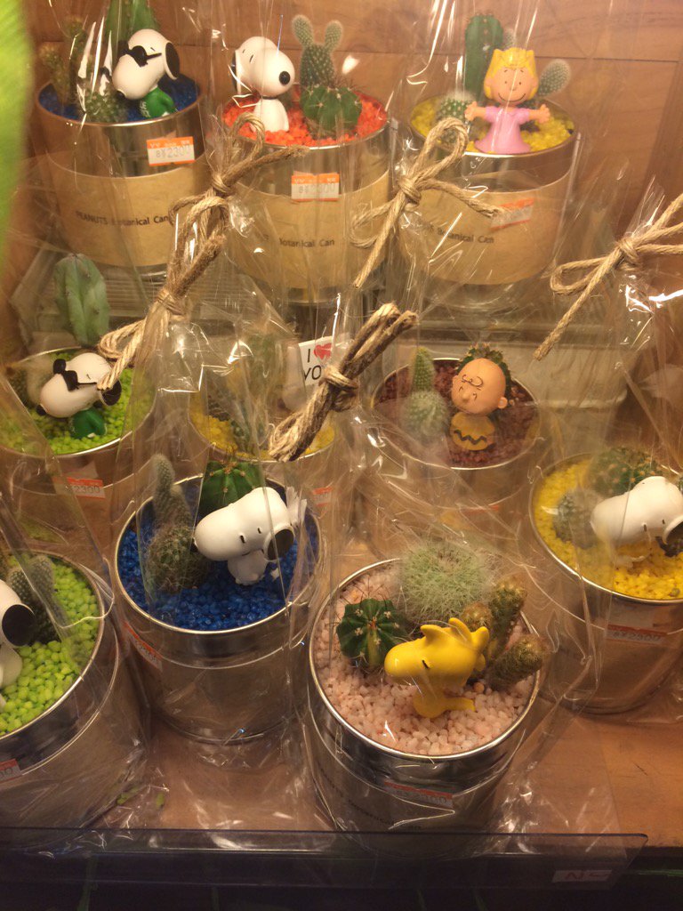 ヴィレッジヴァンガード下北沢 Pa Twitter 可愛いサボテン達入荷しましたよー スヌーピーバージョンと クリスマス限定アニマルサボテンです ギフトにはもちろん 自分買いも グリーンで癒されよー アニサボは冬の動物たちがいます 黄色いアヒルちゃんもいます