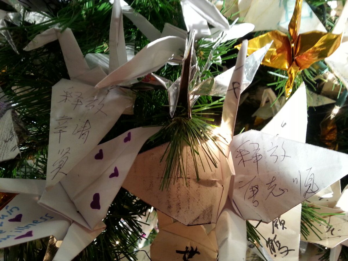 lss007's tweet photo. 关注唐志顺、幸清贤。Rt @Hejuanus  北京时间2015.11.26是唐志顺幸清贤被绑架羁押第52天。 刚才在洛杉矶市政厅的感恩树上帮各位去题词了： “中国要人权不要酷刑”“释放唐志顺幸清贤”“陈云飞王宇回家” https://t.co/pquvIvWHbw