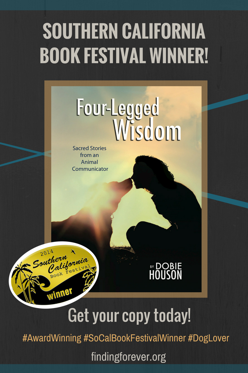 funygirll's tweet photo. RT @DobieHouson: Beautiful MUST READ for #doglovers!! Raises $ 4 ResQ!  #book #dogs https://t.co/w3hrC7A5ZX https://t.co/5YnZmLydiA #rescue