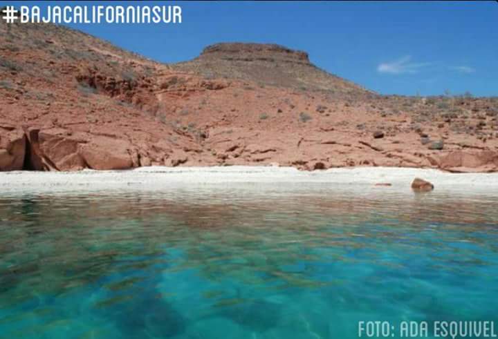 EncantoMx's tweet photo. #BajaCaliforniaSur https://t.co/tbLgk9jNxa