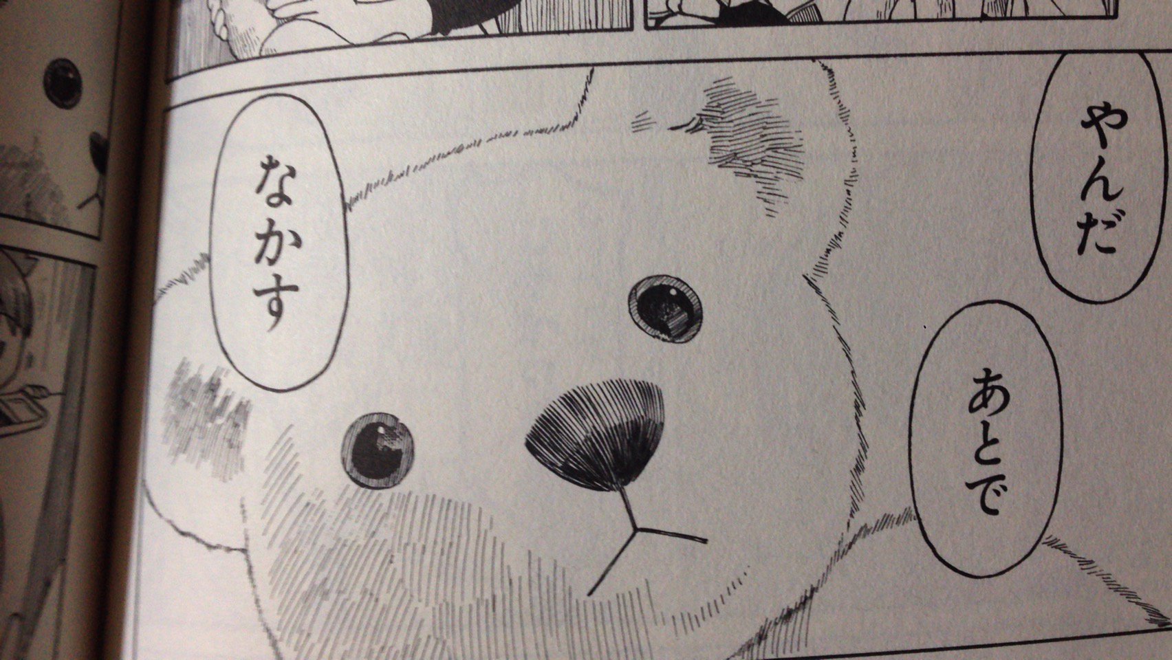 さむわんわんわん En Twitter よつばと ジュラルミンが発売 あずまきよひこデザイン 完全監修のもとシュタイフが制作 T Co Qgp1l0eubw よつばと T Co J6r6zcdh6h さむわんわんわん En Twitter よつばと ジュラルミンが発売 あずまきよひこデザイン 完全監修のもとシュタイフが制作 T Co Qgp1l0eubw よつばと T Co J6r6zcdh6h