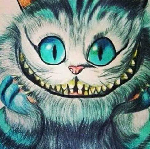 Ïtä_Röblës (@gatitastyles69) on Twitter photo 