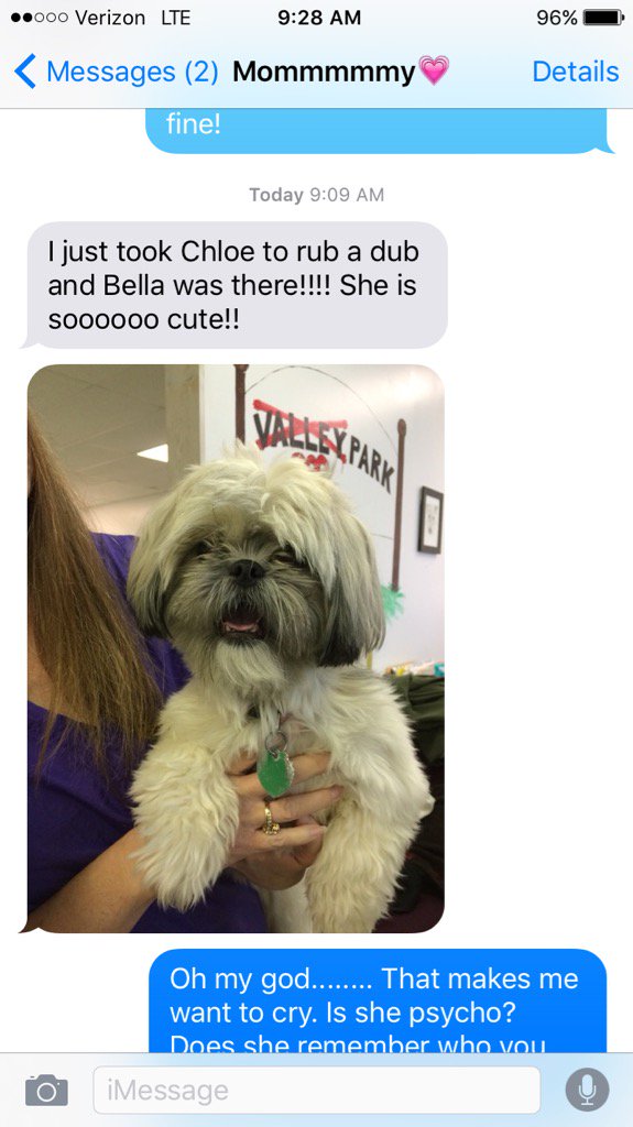 elisenmurphy's tweet photo. My heart just melted💔 https://t.co/ktBQcVLc38