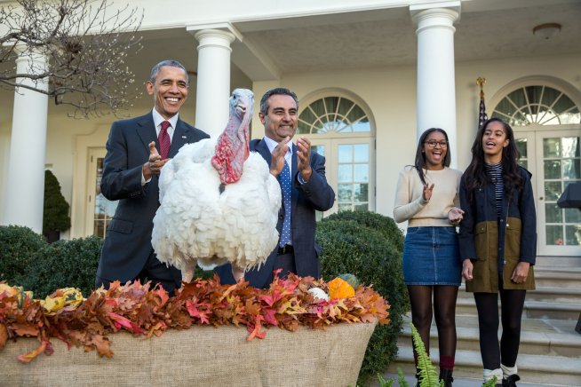 LivinginLoCo's tweet photo. Spared turkeys Honest &amp; Abe head to Leesburg #POTUS #TOTUS #Thanksgiving https://t.co/l7QR4kyLAN https://t.co/Vecz1oLlTu