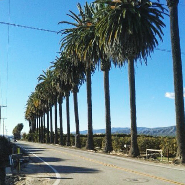 OliBlake88's tweet photo. #tbt to the days of blue skies and endless summers | Ventura, CA

#blakeotri #triathlete #triathlon #training #scene https://t.co/I8khuB690J