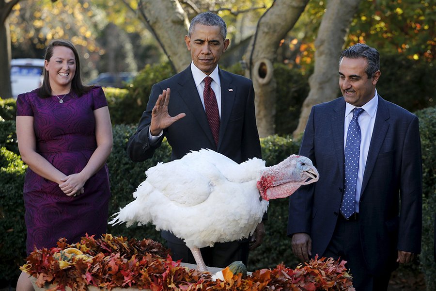 NBCNewsPictures's tweet photo. Today in Pictures: Lucky Bird! Turkey Pardon and more... https://t.co/RBS1D68Jnt
📷 C. Barria  / @reuterspictures https://t.co/7vENgsD8ZJ