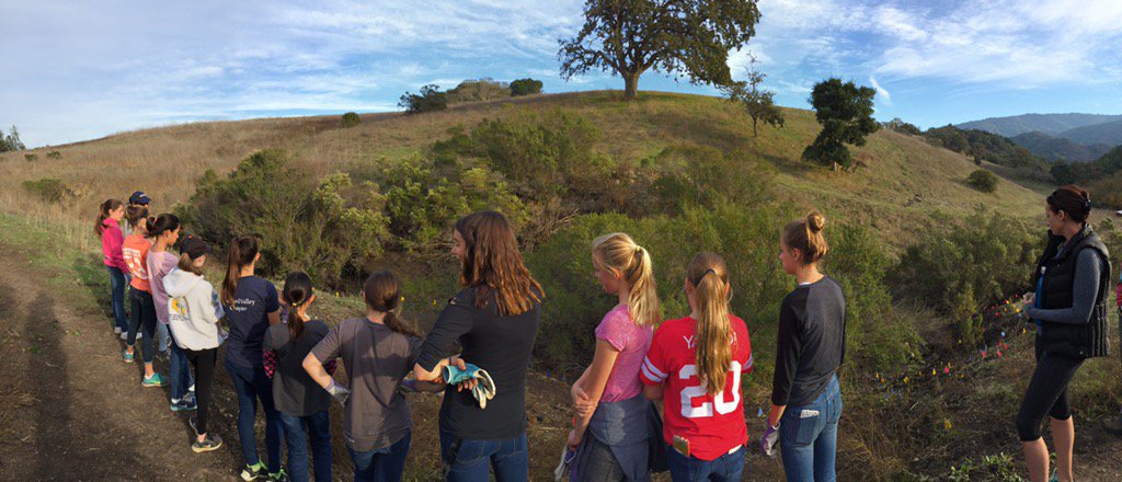 annemoto's tweet photo. Helping to keep Los Altos Hills beautiful! NCL Class of 2021 supporting environmental clean up  NCL_OVC https://t.co/7ZxP0C3JY0
