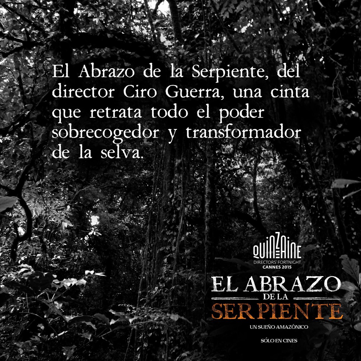 CaracolCine's tweet photo. #CiroGuerra GANA EN #PremiosFenix2015 A MEJOR DIRECCIÓN POR @abrazoserpiente https://t.co/pAsEKZhAQx