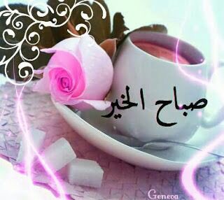 hffj5862's tweet photo. .

-رسالة صباحيّة : ما يكتبه الله خيرٌ مما نحبّه وأعظم مما نطلب وألطف مما نشاء ☁.

💕 https://t.co/N5svJxNXvC