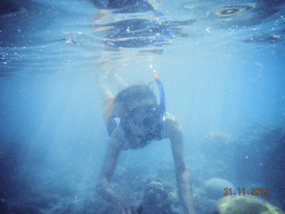 indra_ulle's tweet photo. #latepost #pulautidungisland https://t.co/53MpCFeaLL