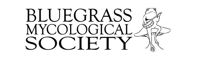 cable489's tweet image. Love mushrooms and other fungi... facebook.com/groups/bluegra…