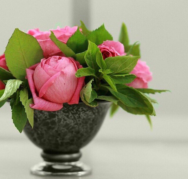 faisal71906's tweet photo. @too43376 @fato0omah72 @_1beerr وصباحك سكر وعسل فاطمة https://t.co/bGsdMaM3jP