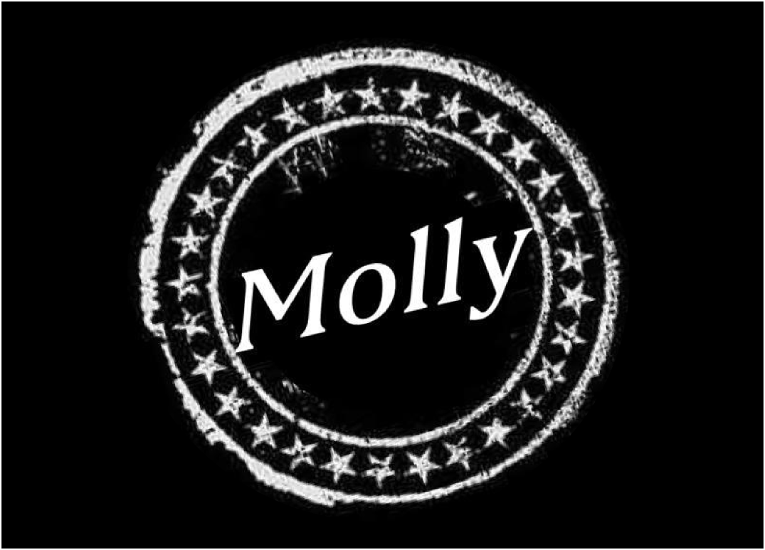 HEATER_Mx's tweet photo. ¡Nos vemos el próximo 12 de diciembre en @FOROCONDESA junto a Molly! #SomosHEATER https://t.co/oAZmZCXDx3 https://t.co/05pUu2jILn