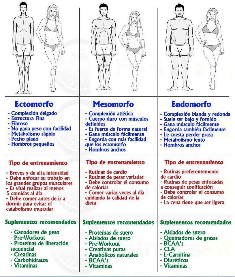 ¿Conoces tu somatotipo de cuerpo? Entrenamiento y suplementos recomendados para #ectomorfo #mesomorfo y #endomorfo