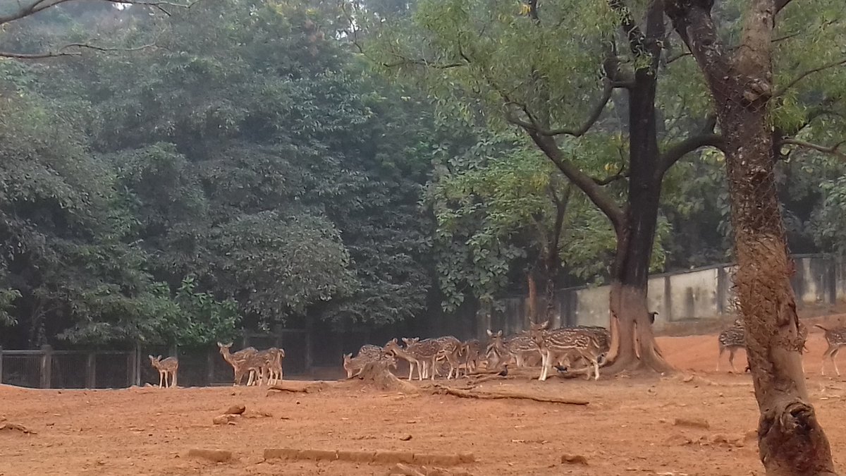 Himael Hasan (@himael_hasan) on Twitter photo 