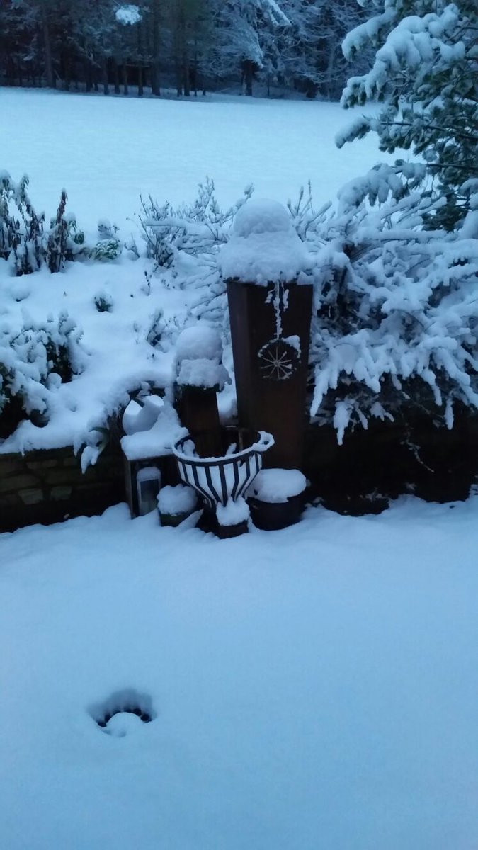 CiklKatharina's tweet photo. #firstsnow2015 @salvadorpano @JenaC2 @AfterEight13 @bay_bag @escher18 @monikaschwarz8 wish successful &amp; pleasant day https://t.co/GTafVkSkBq