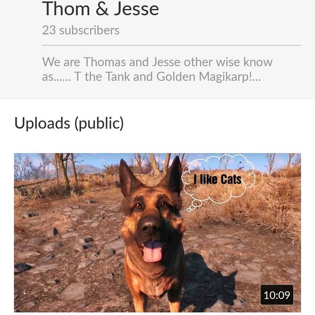 Otherbots's tweet photo. Check out our most recent video! Its got #cats and #dogs and even a #robot in it! #youtube #youtuber #video #thoman… https://t.co/7osPpv5cw5