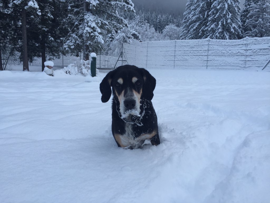 The snow is here! Chamonix is open this weekend!!