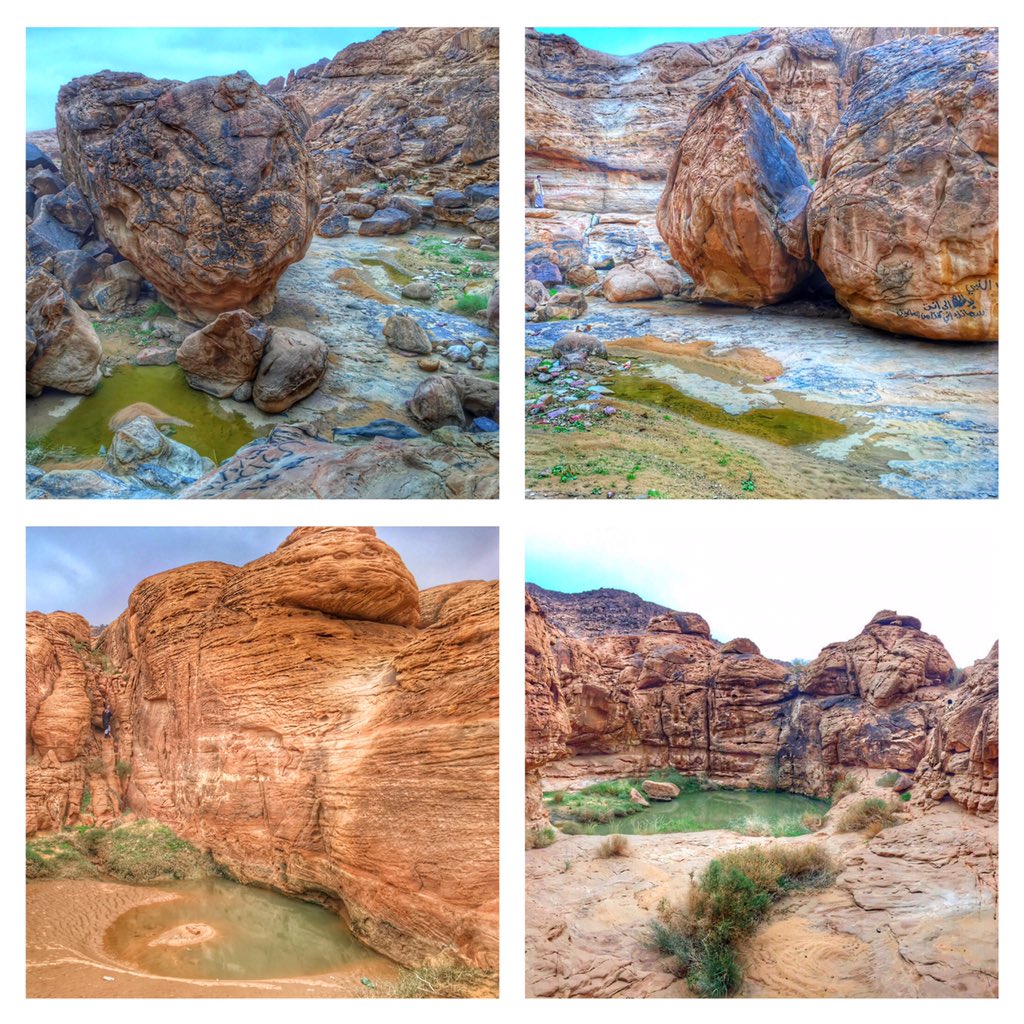 FahadTayma's tweet photo. من تصويري شرق تيماء
@Lens_tabuk 
@ABDTABUK1 
@tqqs 
#تيماء 
#غرد_بصورة 
#تبوك https://t.co/eQpuvRdYbK