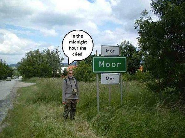 ThePoke's tweet photo. With a rebel yell…

https://t.co/dTkWtOrqvq https://t.co/Uidc4CYg2i