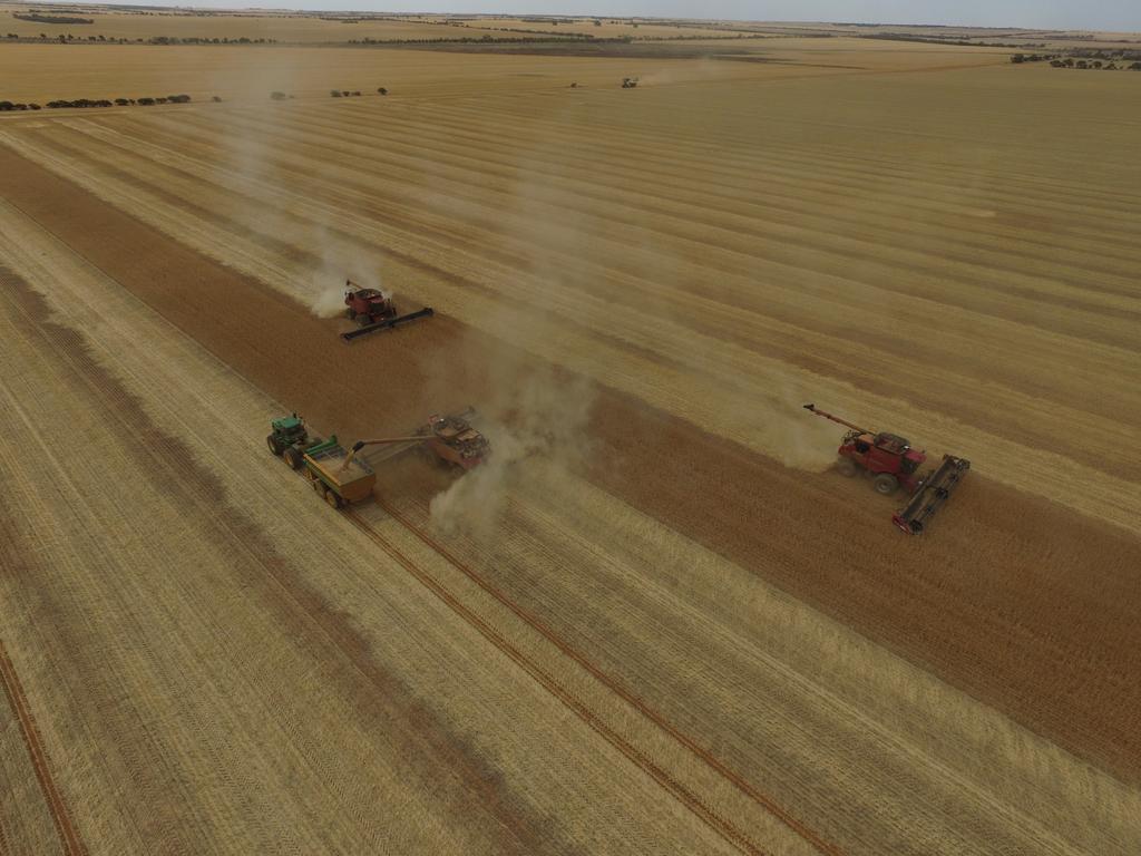 TyTekAg's tweet image. Wheat harvest at #xantippee #paddockpride #bigboyztoyz