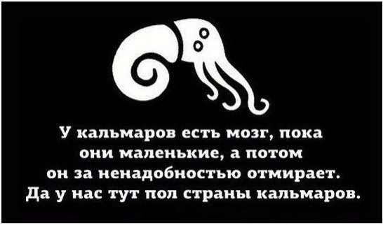 У раков есть мозги. Мозг кальмара. У кальмаров отмирает мозг. У маленьких кальмаров есть мозг.