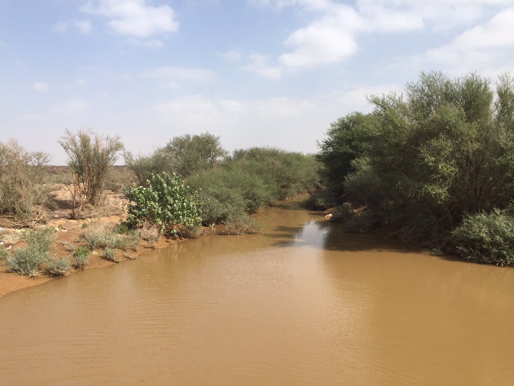 3wa9f1's tweet photo. وادي خلابيص في الحرة جنوب شرق المحاني ٢٥كم لازال يمشي خفيف حتى الان من أثار امطار امس الاربعاء-عبدالله العضياني https://t.co/tDr9PVxHJj