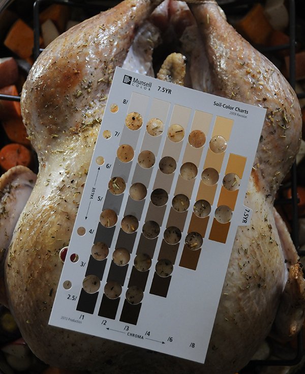 Munsell Color Chart Archaeology