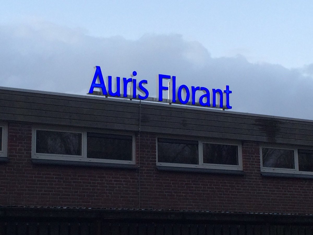 Auris Florant tweet media