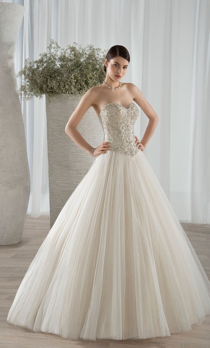 bruidssalon's tweet photo. Goedemorgen lieve aanstaande #bruiden! Wat vinden jullie van deze prachtige #prinsessenjurk van @DemetriosBride? https://t.co/DpCVmZJ3h1
