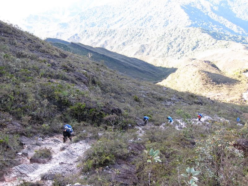 xcaperesort's tweet photo. Gunung Tahan is the highest peak Peninsular Malaysia.This just might be the best experience you’ll ever make. https://t.co/J90juk4Ee6