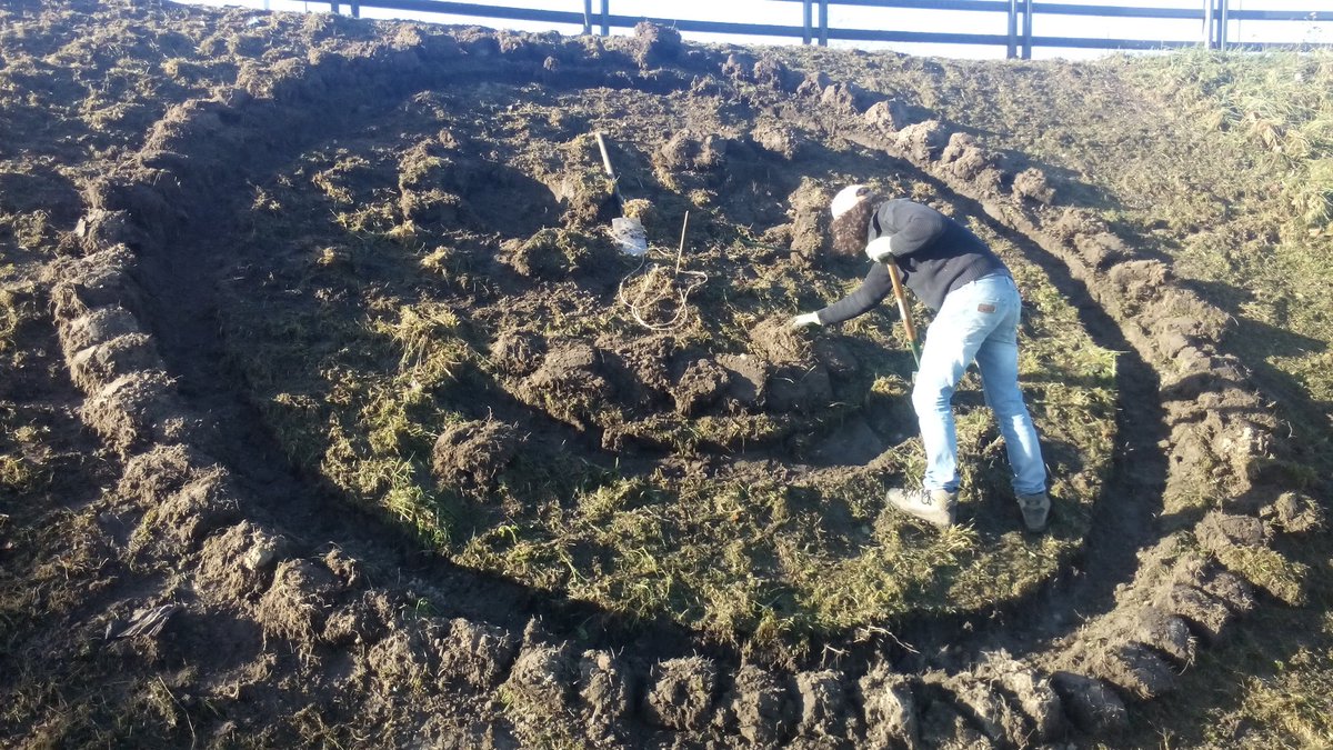 Eindhoven!! :-) smiley gedeelderuimte.nl #033groen ism <a href="/LWBLandinzicht/">Land in Zicht</a>