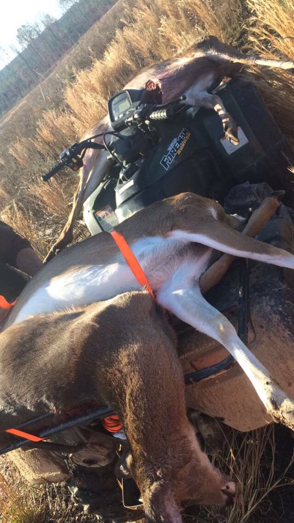 Drew Little tweet media