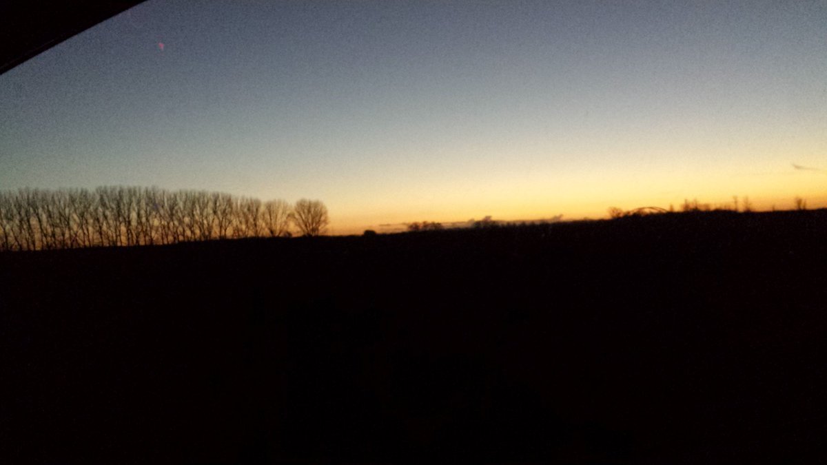 little moon tweet media