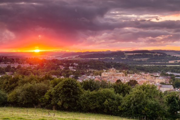 WE ARE UMi tweet media