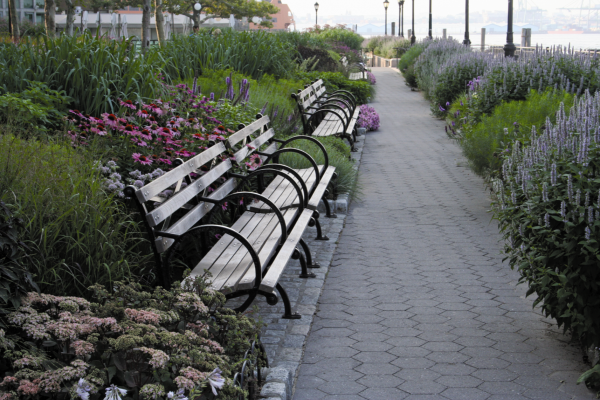 theGreen_City's tweet photo. Read about the #gardensofremembrance in #NYC on The Green City https://t.co/nGuMDlqcKd #PietOudolf #landscapearch https://t.co/CSIWwFCyim