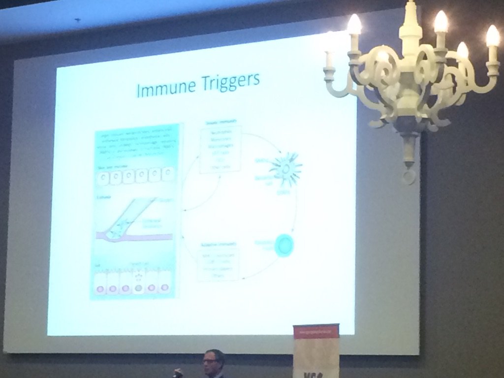 MaartenMh's tweet photo. Immunological factors involved in initiation of #tendinopathy . #andrewcarr #vsgcongres https://t.co/MYIZcVJtQU