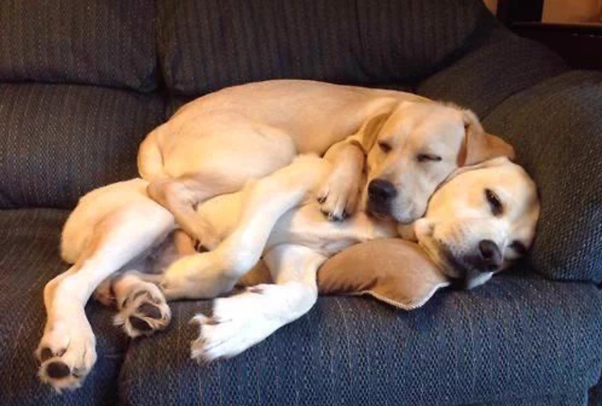 Cuddling with bae 😍😍😍