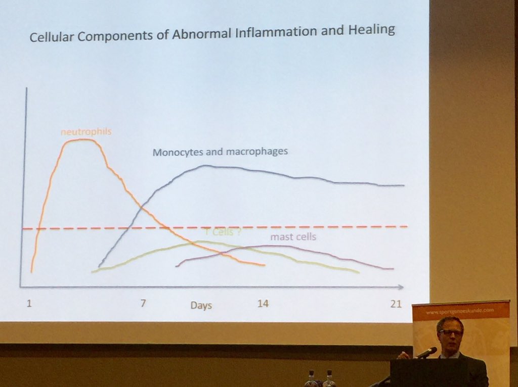 #vsgcongres
Tendinitis back in town😧
Groundbreaking new work from Prof Carr. Biopsies in rotator cuff tendinopathy