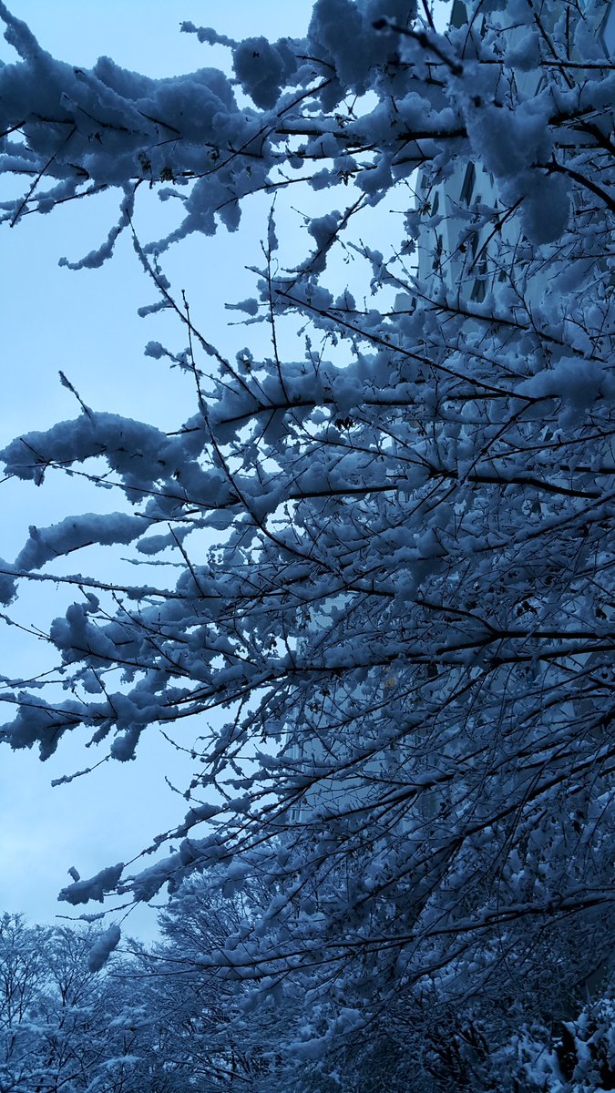 "아파 하지마.
 쓸쓸해 하지마."
가을 떠나간 나무가지
初雪 내려앉아
白雪花 피어났네.