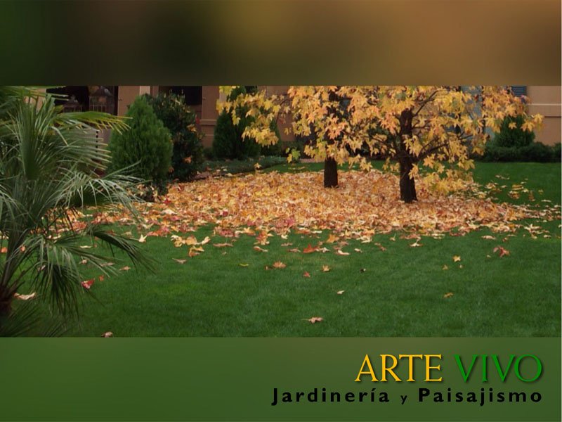 AVJardineria's tweet photo. Mientras tú preparas tu #FelizBlackFriday nosotros nos ocupamos de tu #jardin... #NoPuedoDecirQueNo te lo propuse... https://t.co/LSMicYWlYR