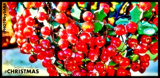 CITYGUIDEPARIS tweet media