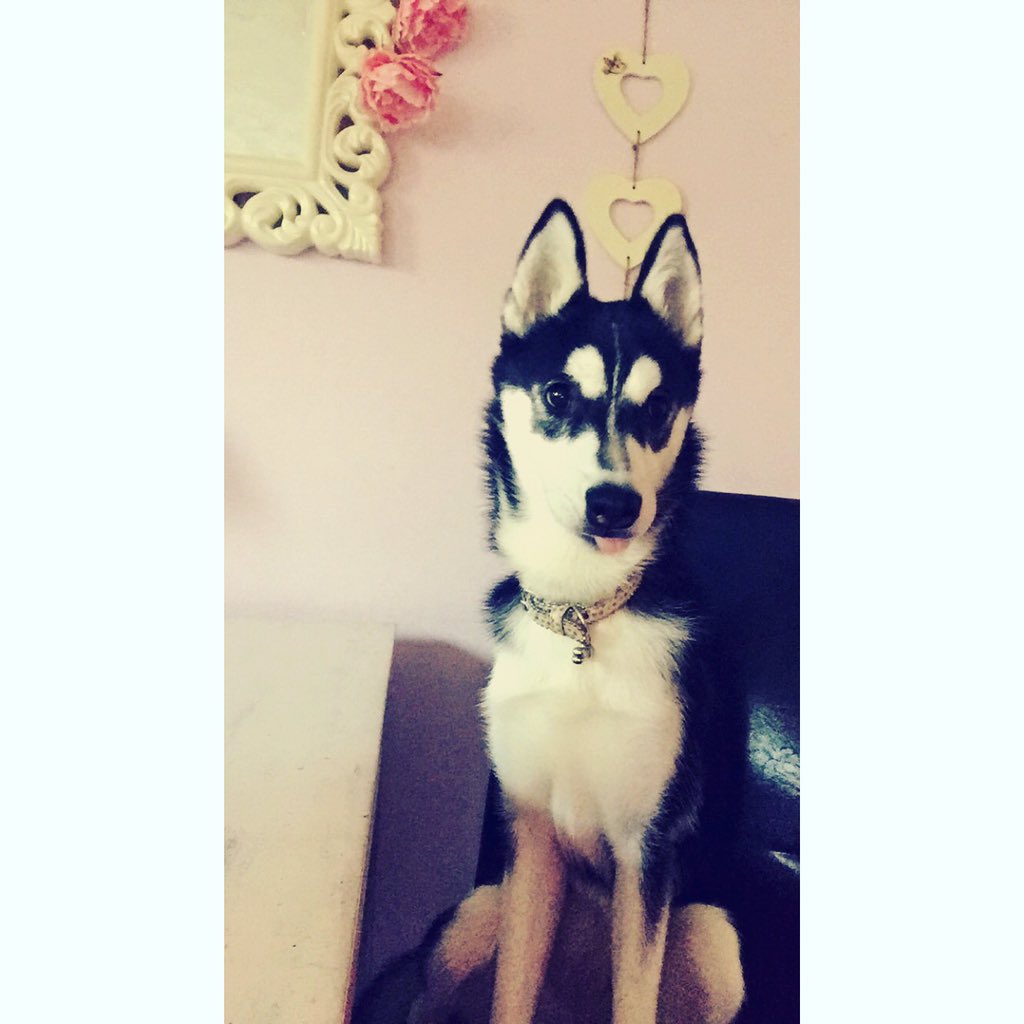 Cheycap_'s tweet photo. 😝 https://t.co/ZGJhMV3rfD
