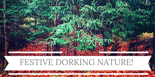 We couldn't help noticing how festive #Dorking is looking! #webdesign #webdevelopment #surrey #festiveseason