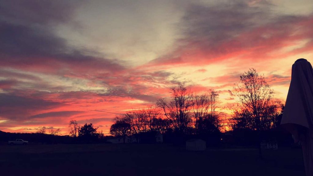 eriniverson22's tweet photo. Thankful for my Creator this morning. https://t.co/rswfXyfmrr