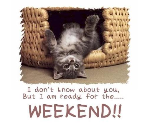 KatisRestaurant's tweet photo. A Weekend Is Always Worth The Wait !! :)

#HappyWeekend #EatGoodFood #Katis #IndianChinese #Biryani #Momos #Noodles https://t.co/t0zwrG49dO