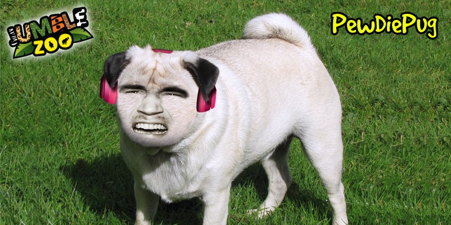 jumblezoo's tweet photo. @pewdiepie @MarziaPie we made this Jumble just for you! You like? Check out our free game :) https://t.co/duzaoczbuf https://t.co/DrCP7oPlWf